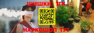 индика Краснознаменск