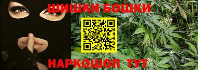индика Краснознаменск