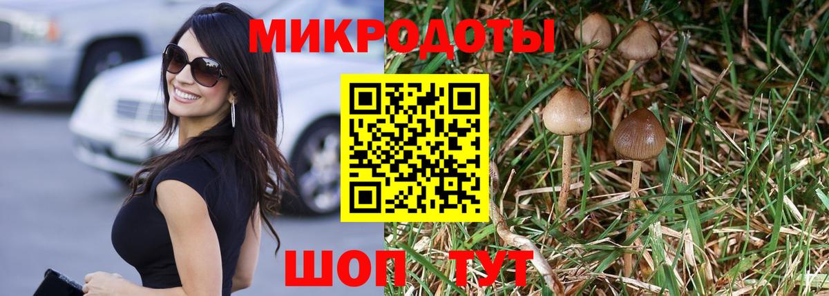 Галлюциногенные грибы прущие грибы  Псилоцибиновые грибы Cubensis  Вход с VPN  Саранск 